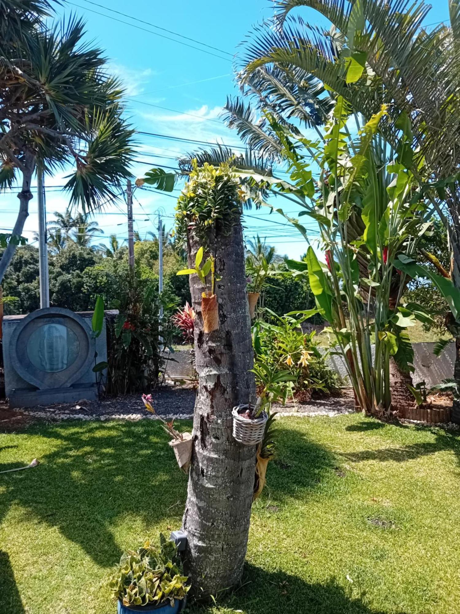 Villa Belza Et Spa (Adults Only) Saint Pierre Buitenkant foto